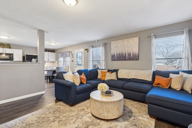 living room with dark hardwood / wood-style floors