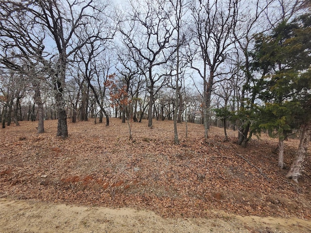 view of landscape