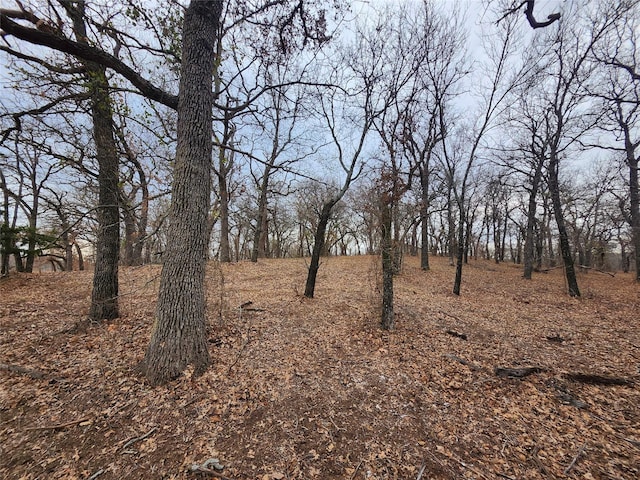 view of landscape