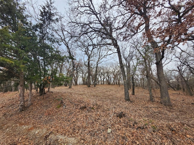 view of local wilderness