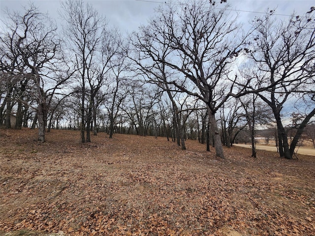 view of local wilderness