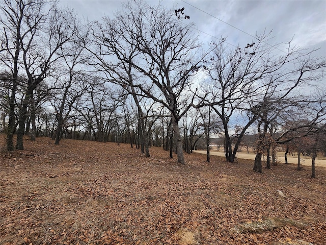 view of landscape featuring a rural view