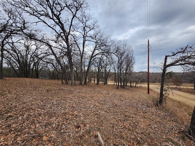 view of yard with a rural view