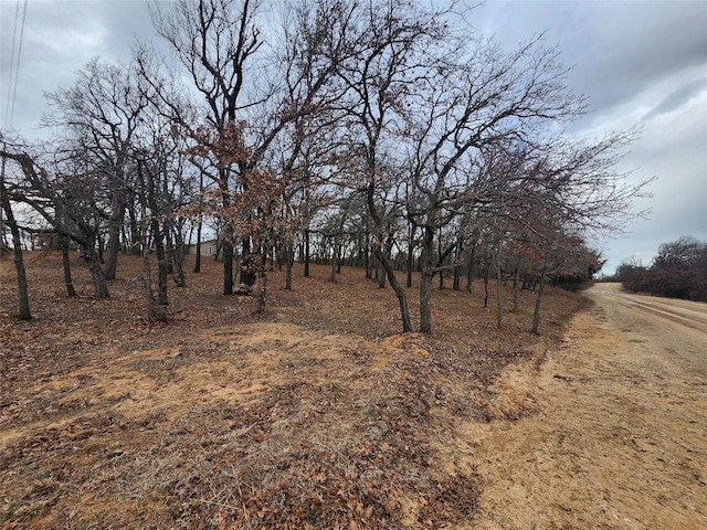 view of nature with a rural view