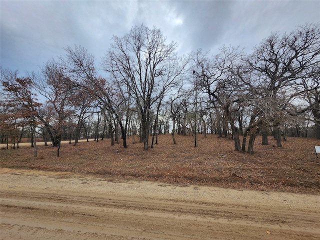 view of yard with a rural view