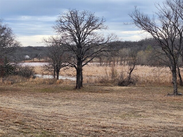 view of landscape