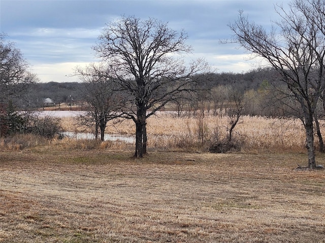 view of local wilderness