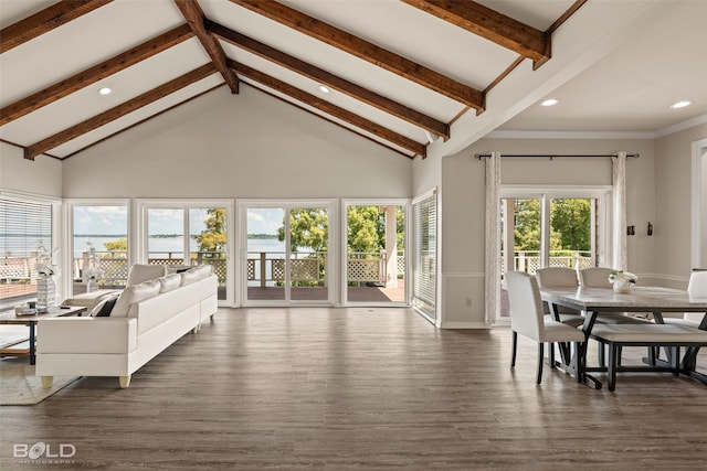 living room with a healthy amount of sunlight, dark wood-type flooring, and beamed ceiling