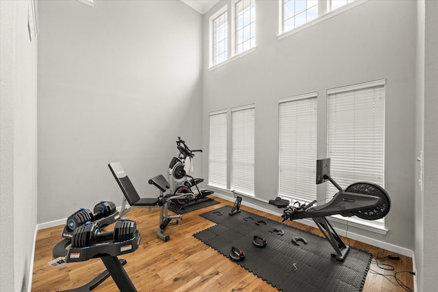 workout area featuring a high ceiling and hardwood / wood-style flooring