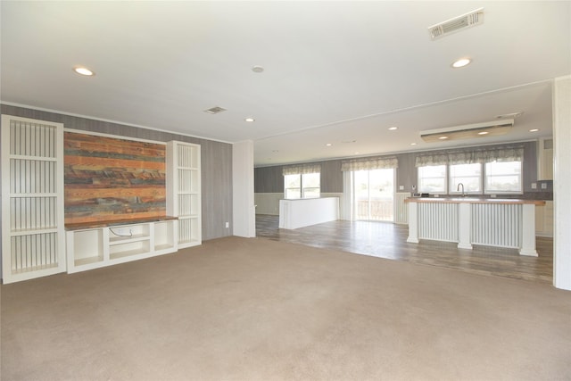 unfurnished living room featuring sink and carpet flooring