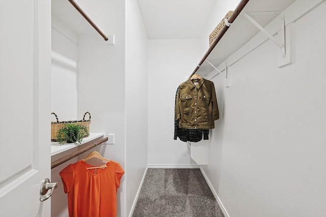 spacious closet with carpet floors