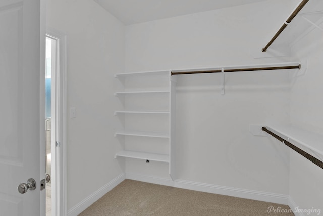 walk in closet with light colored carpet