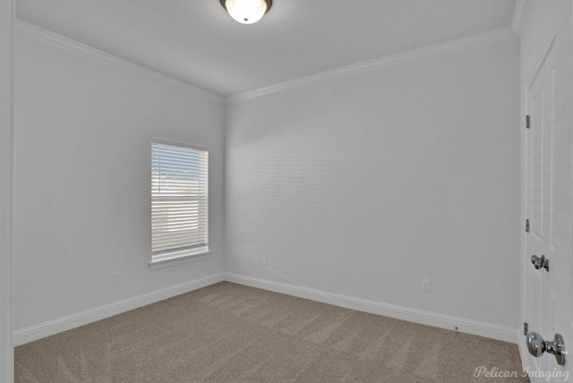 carpeted spare room featuring ornamental molding