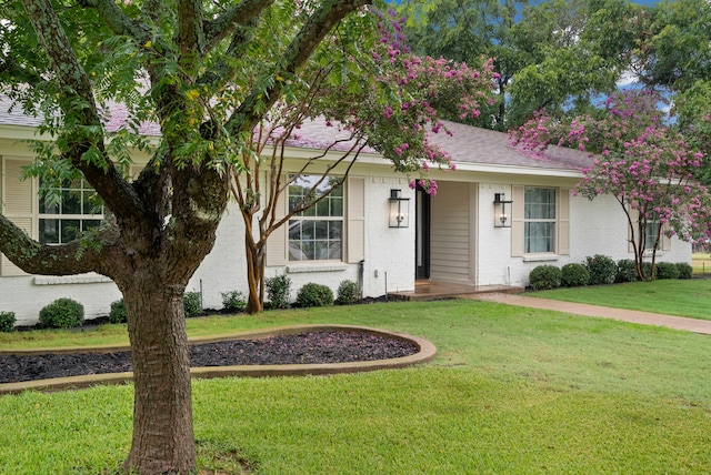 ranch-style home with a front yard