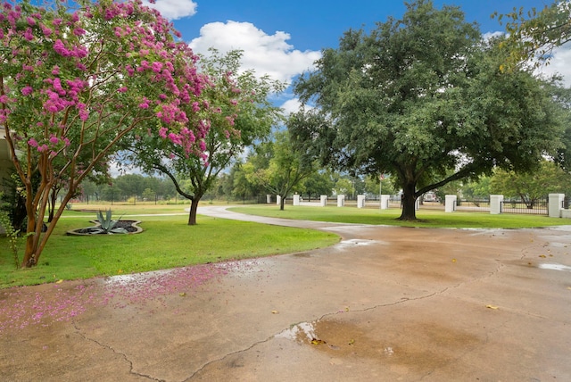 view of property's community featuring a yard