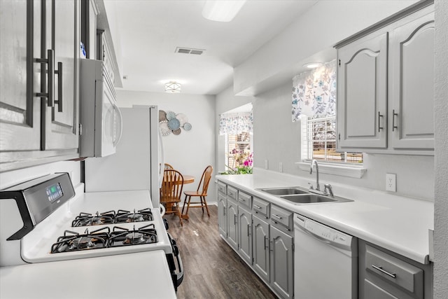 kitchen with sink, white appliances, dark hardwood / wood-style floors, and gray cabinets