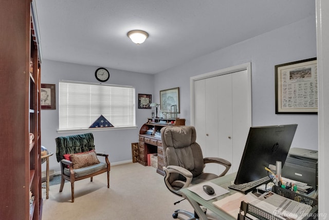 home office with carpet