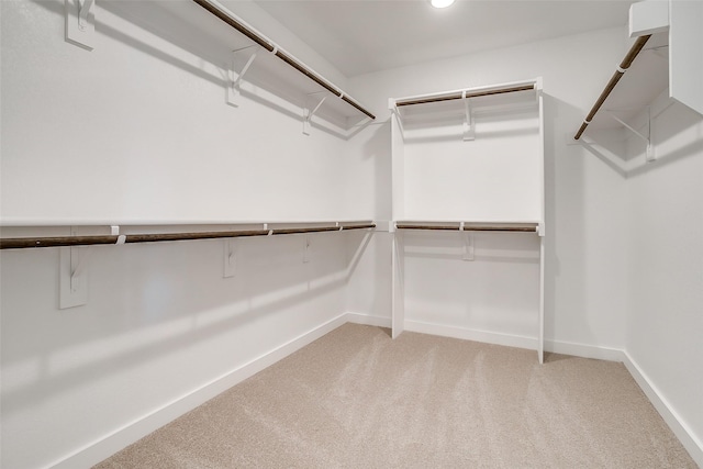 spacious closet with light carpet