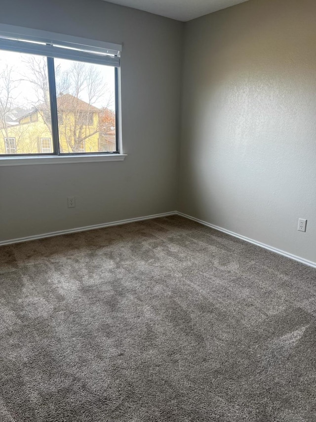 empty room featuring carpet