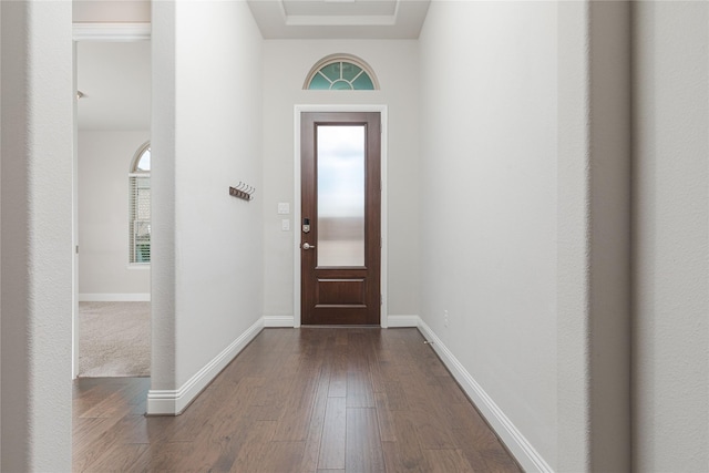 entrance foyer featuring hardwood / wood-style flooring and plenty of natural light