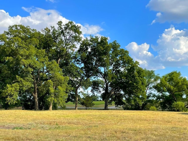 10921 Strittmatter Rd, Pilot Point TX, 76258 land for sale