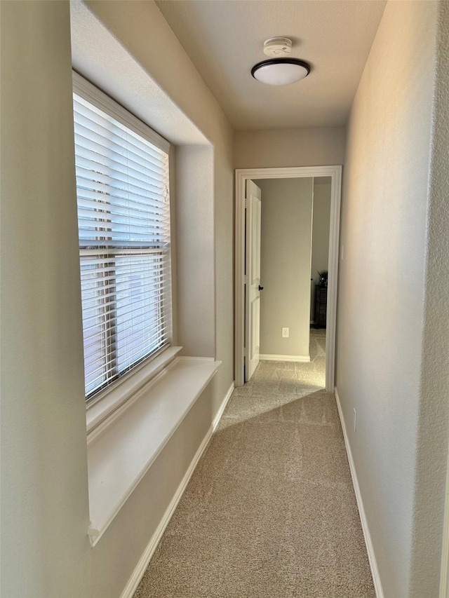 hall featuring light colored carpet