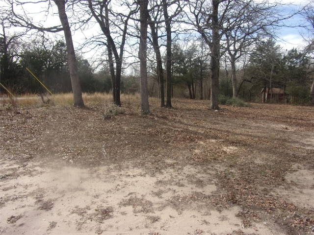 Listing photo 3 for 111 Mimosa Dr, Murchison TX 75778