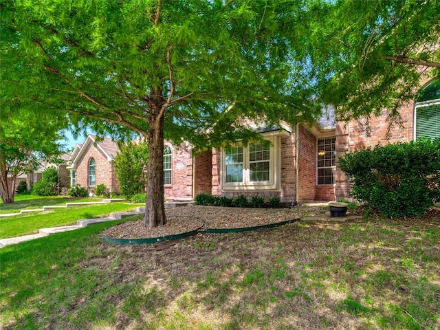 view of property hidden behind natural elements with a front lawn