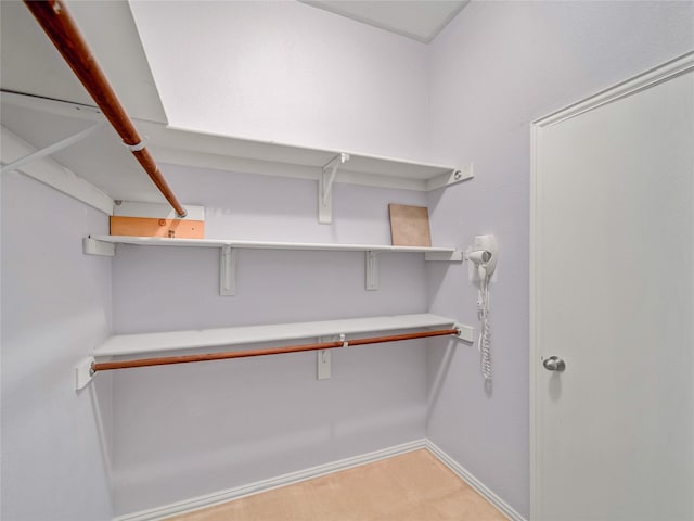 view of spacious closet