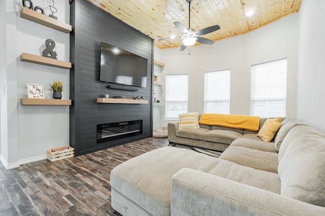 living room featuring ceiling fan, a large fireplace, dark hardwood / wood-style flooring, and wood ceiling