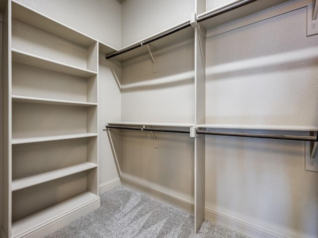 spacious closet featuring light colored carpet