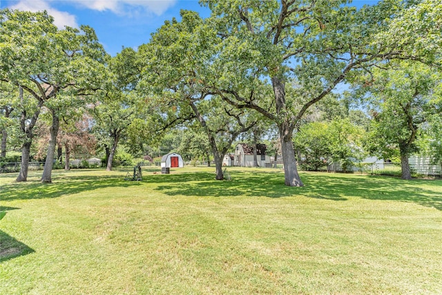 view of yard with a storage shed