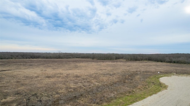 LOT80, 1625 Fm 904 S, Pecan Gap TX, 75469 land for sale