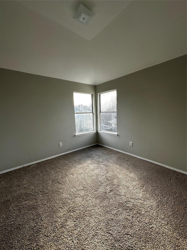 spare room with carpet floors