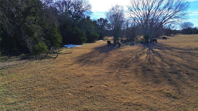 Listing photo 3 for 140 County Road 283, Gainesville TX 76240