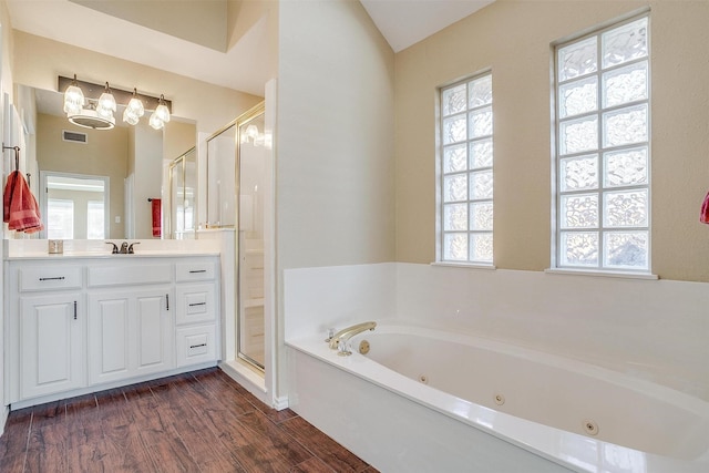 bathroom with vanity, wood-type flooring, and plenty of natural light