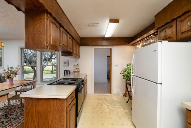 kitchen featuring electric range and white fridge