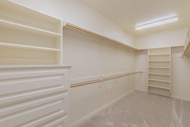 spacious closet with light carpet