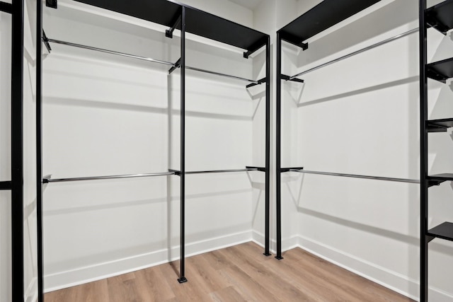 walk in closet with hardwood / wood-style floors