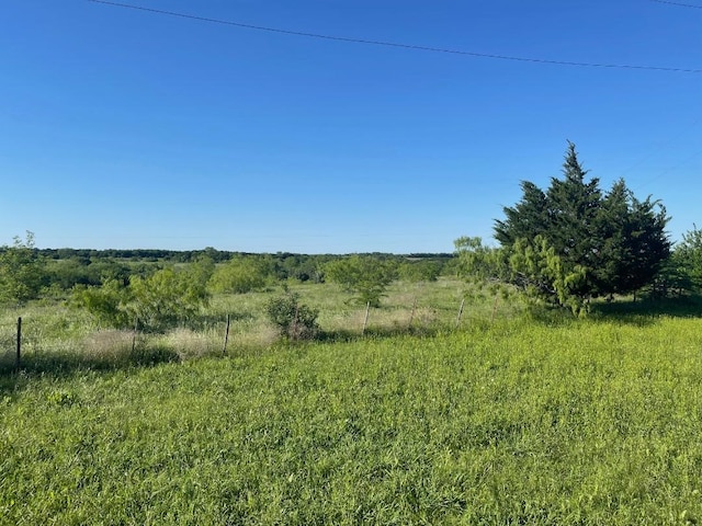 view of nature with a rural view