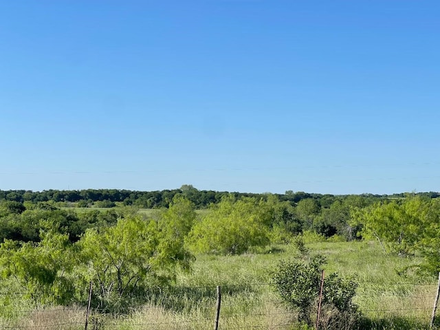 view of local wilderness