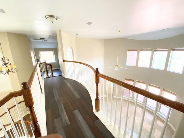 corridor with dark hardwood / wood-style floors