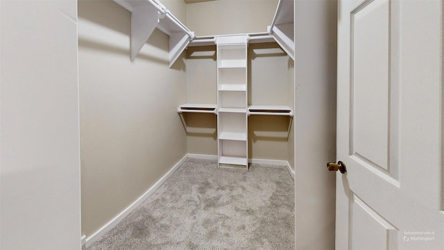 walk in closet with light colored carpet