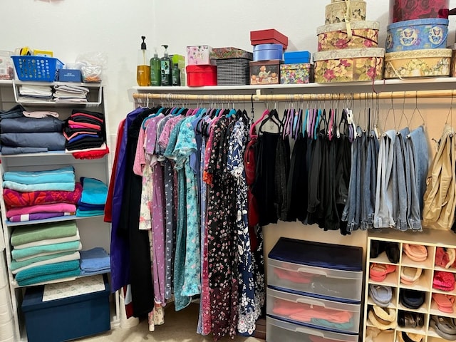 spacious closet with carpet flooring