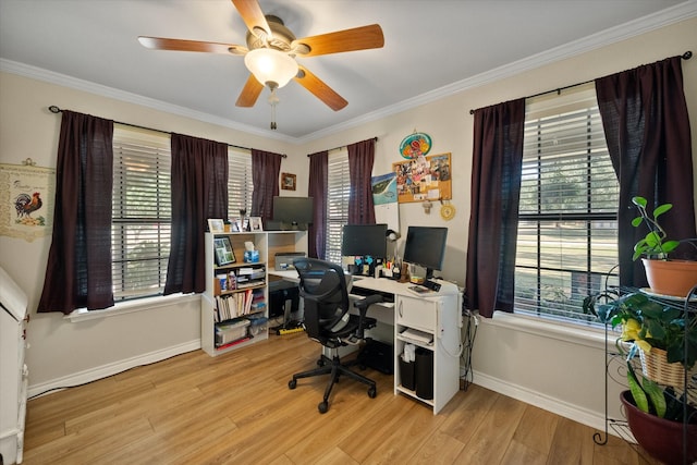 office with ornamental molding, a healthy amount of sunlight, and light wood-style flooring