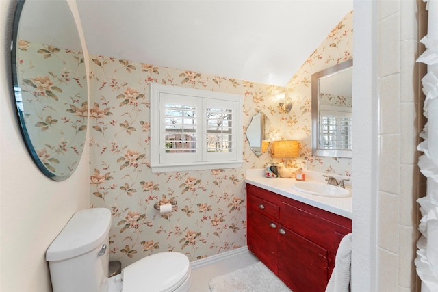 bathroom with toilet and vanity