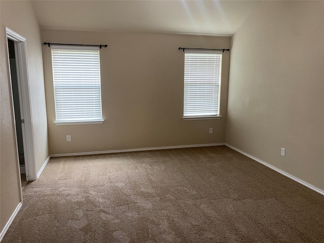 unfurnished room featuring light carpet and a healthy amount of sunlight