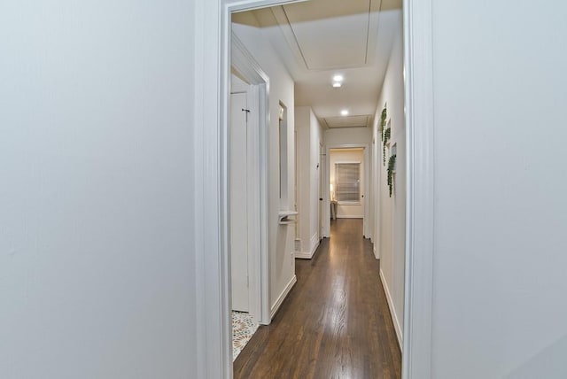 hallway with dark wood-type flooring