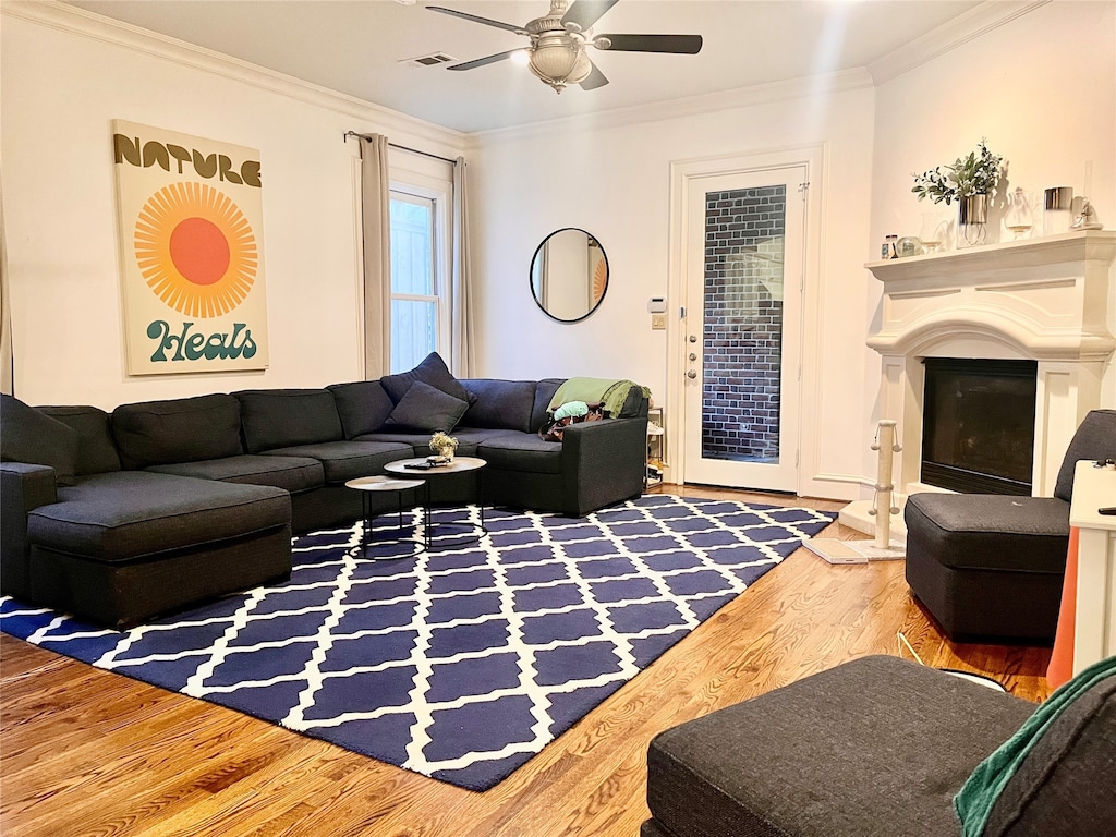 living room with ceiling fan, crown molding, and hardwood / wood-style flooring