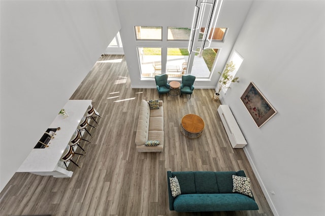 living room featuring wood-type flooring and a towering ceiling